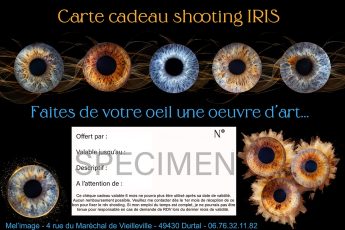 SPECIMEN IRIS BD